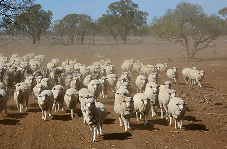 Performance recording in drought conditions