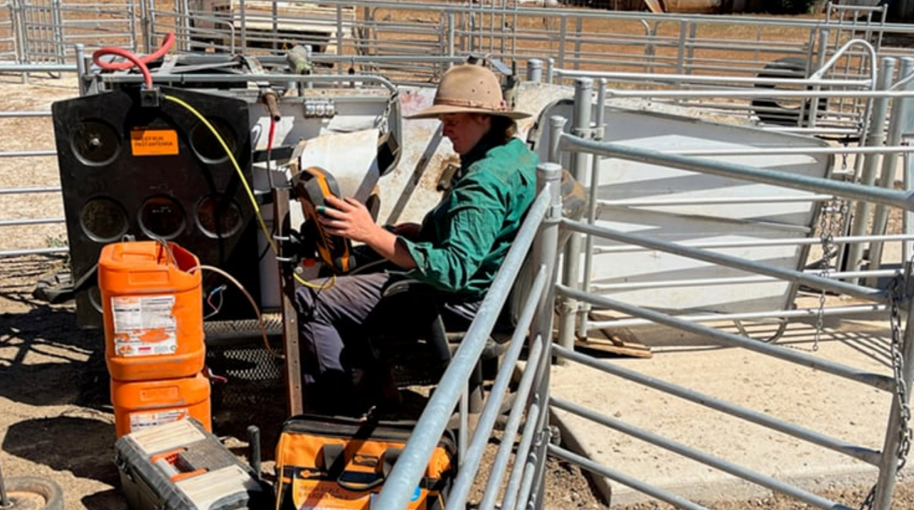 Detail in data delivers consistent lambing results