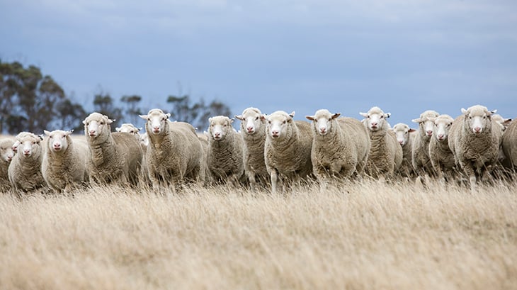 New videos to help understand the evaluation