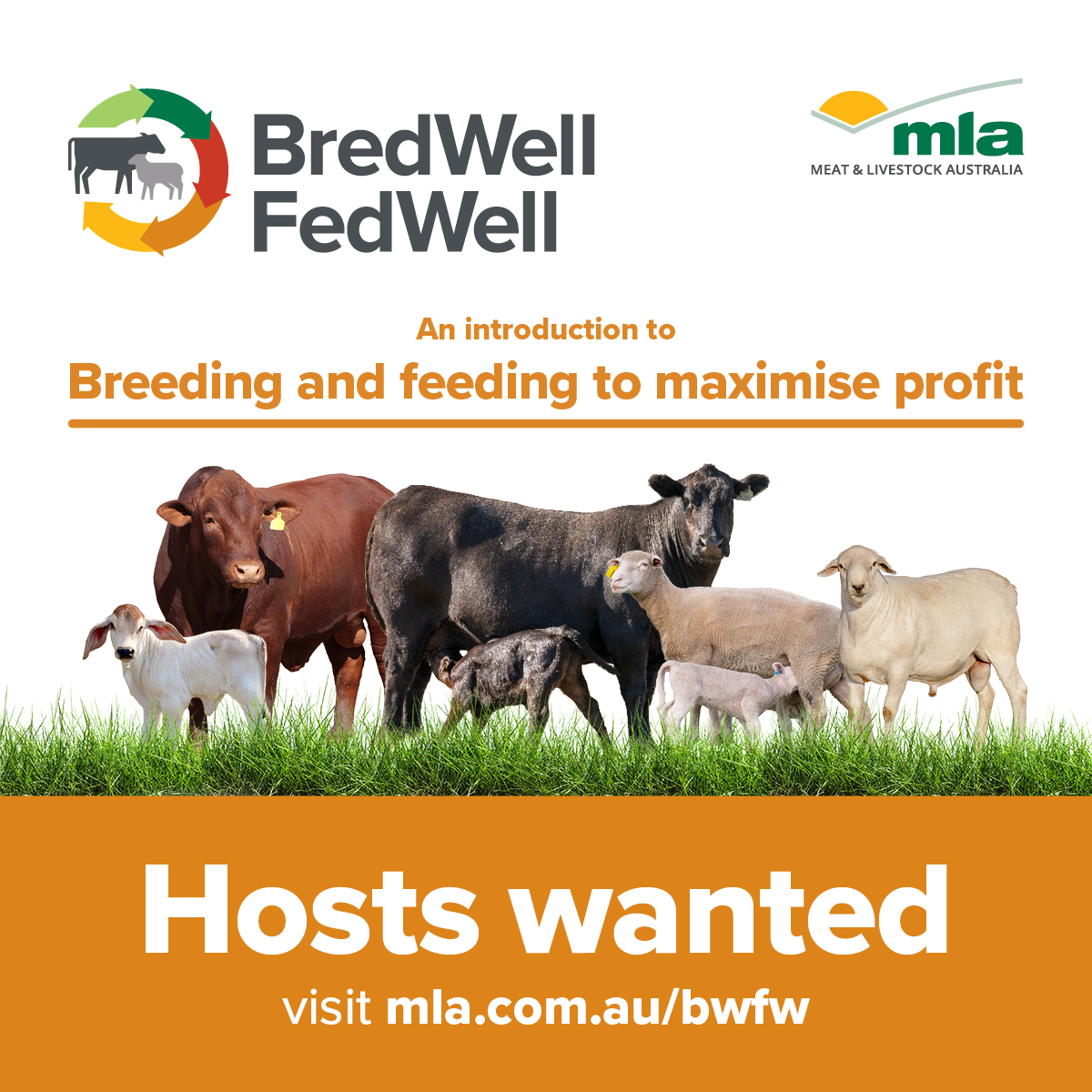 BredWell FedWell Workshops