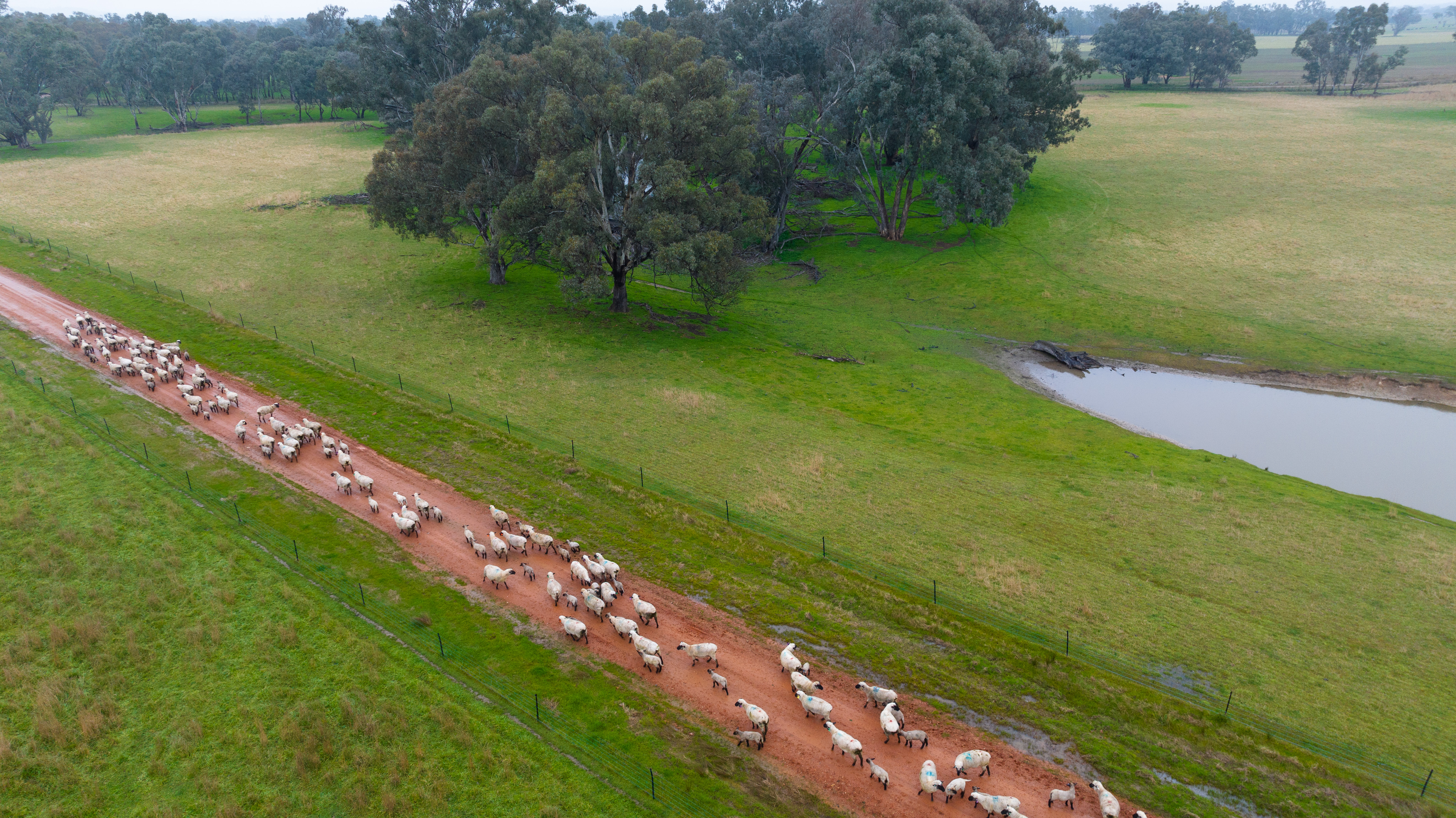Resources