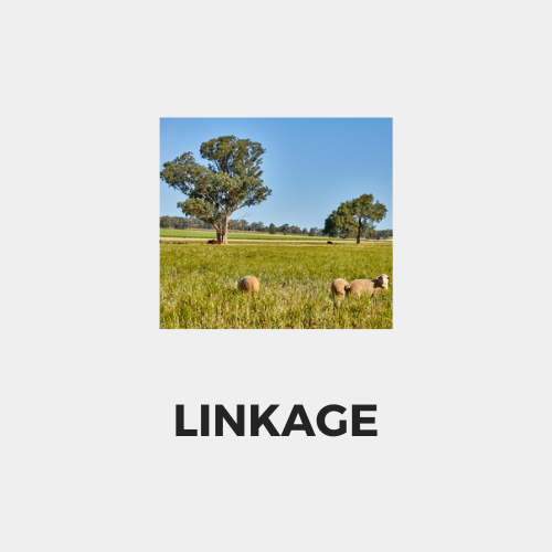 Linkage.png